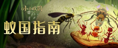 小小蚁国新手开局怎么玩