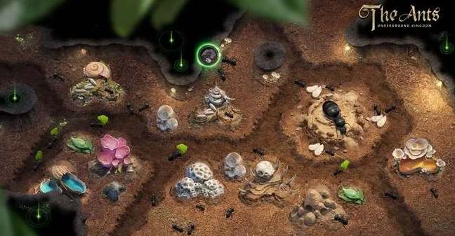 小小蚁国野怪怎么培养升星