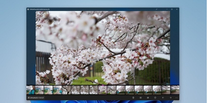 Sakura图片浏览器0