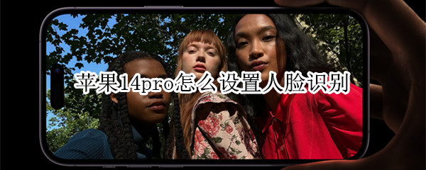 苹果14pro怎么设置面容ID