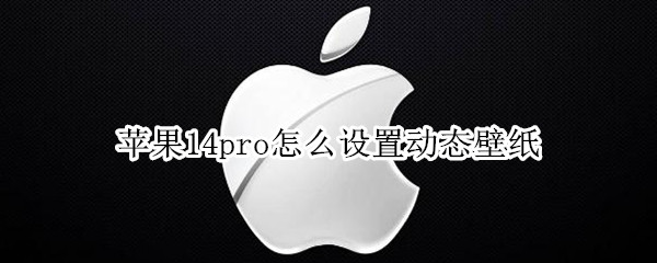 苹果14pro如何更换动态壁纸