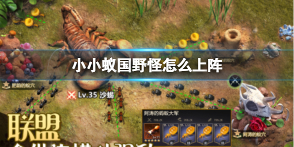 小小蚁国射手打野队怎么玩