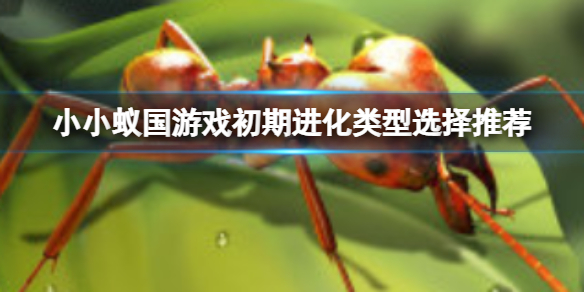 小小蚁国游戏初期进化怎么选