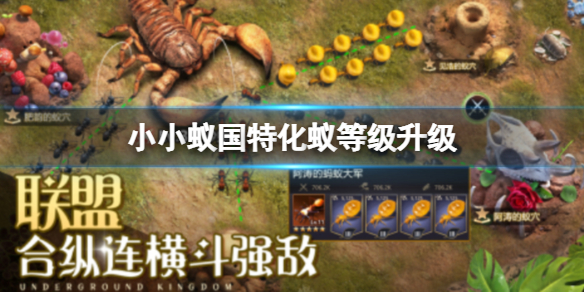 小小蚁国特化蚁等级提升条件是什么