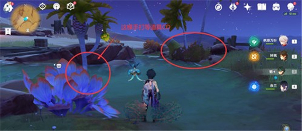 原神柽木最快采集路线一览