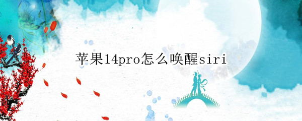 苹果14pro怎么设置siri唤醒