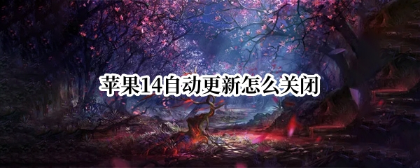 苹果14自动更新怎么取消