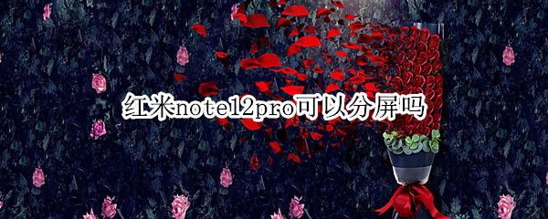 红米note12pro支持分屏吗