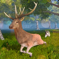 鹿模拟器动物生活