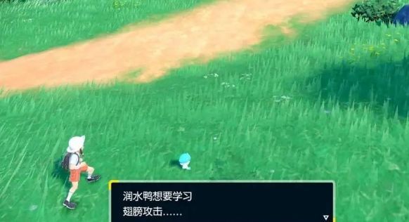 宝可梦朱紫如何快速练级