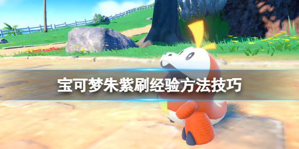宝可梦朱紫怎么速刷经验