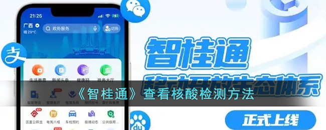 智桂通查看核酸检测结果方法一览