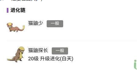 宝可梦朱紫猫鼬探长怎么进化