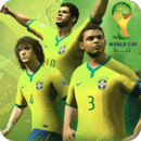 Brazil Soccer League