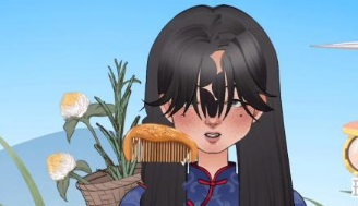 抖音收纳达人苗疆少女怎么过