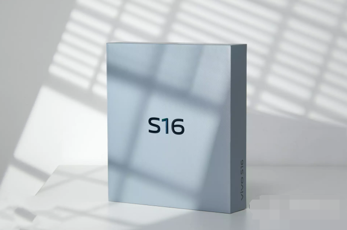 vivoS16支持5G上网吗