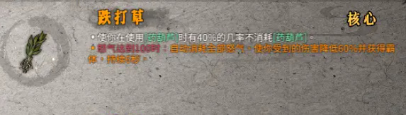 暖雪跌打草怎么搭配