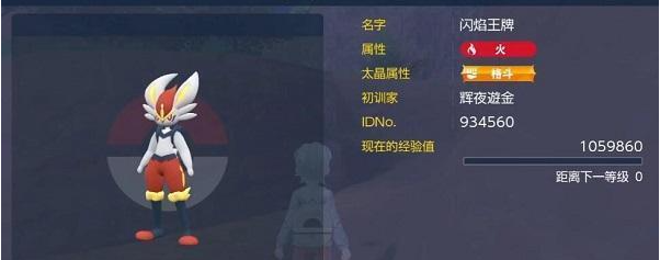 宝可梦朱紫闪焰王牌单刷教程分享