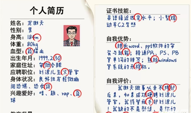 这不是汉字龙傲天简历怎么过