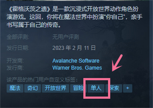 霍格沃茨之遗支持多人联机吗