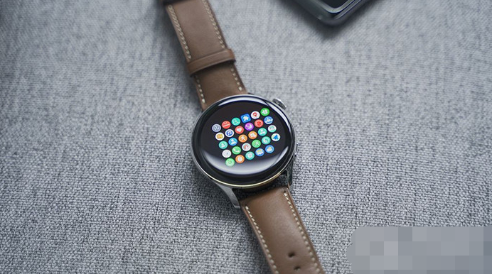 华为watch3有蜂窝网络吗