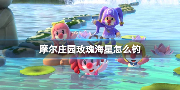 摩尔庄园玫瑰海星怎么钓