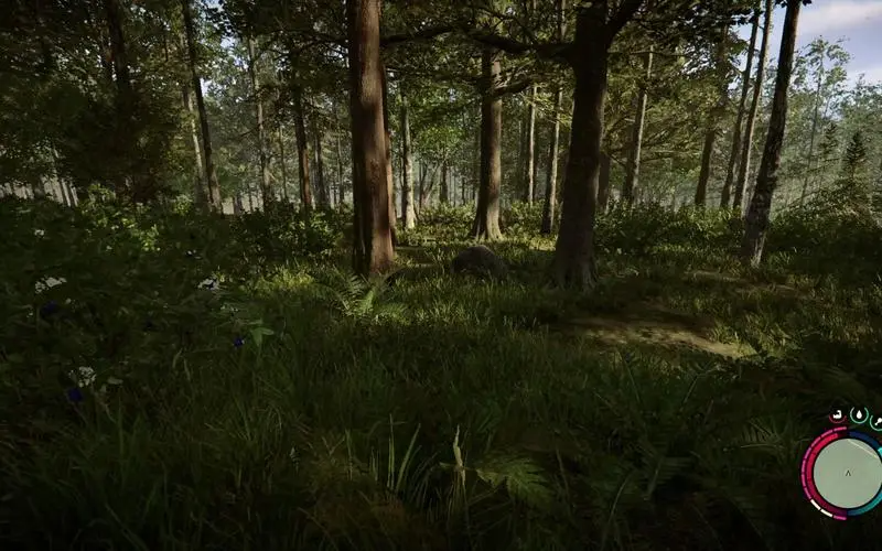 森林之子控制台秘籍代码有哪些