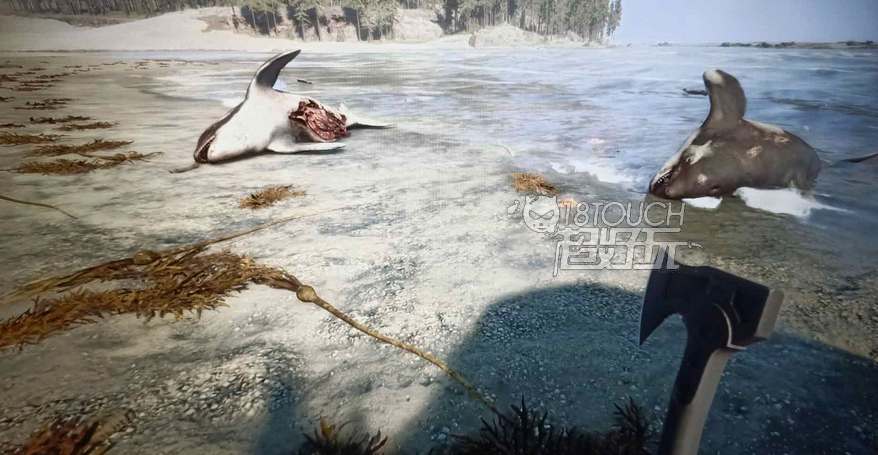 森林之子绳子在哪