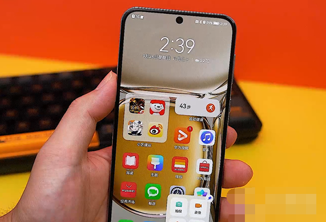 华为P60屏幕分辨率是多少