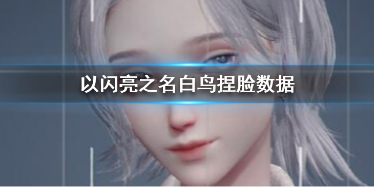 以闪亮之名白鸟怎么捏脸