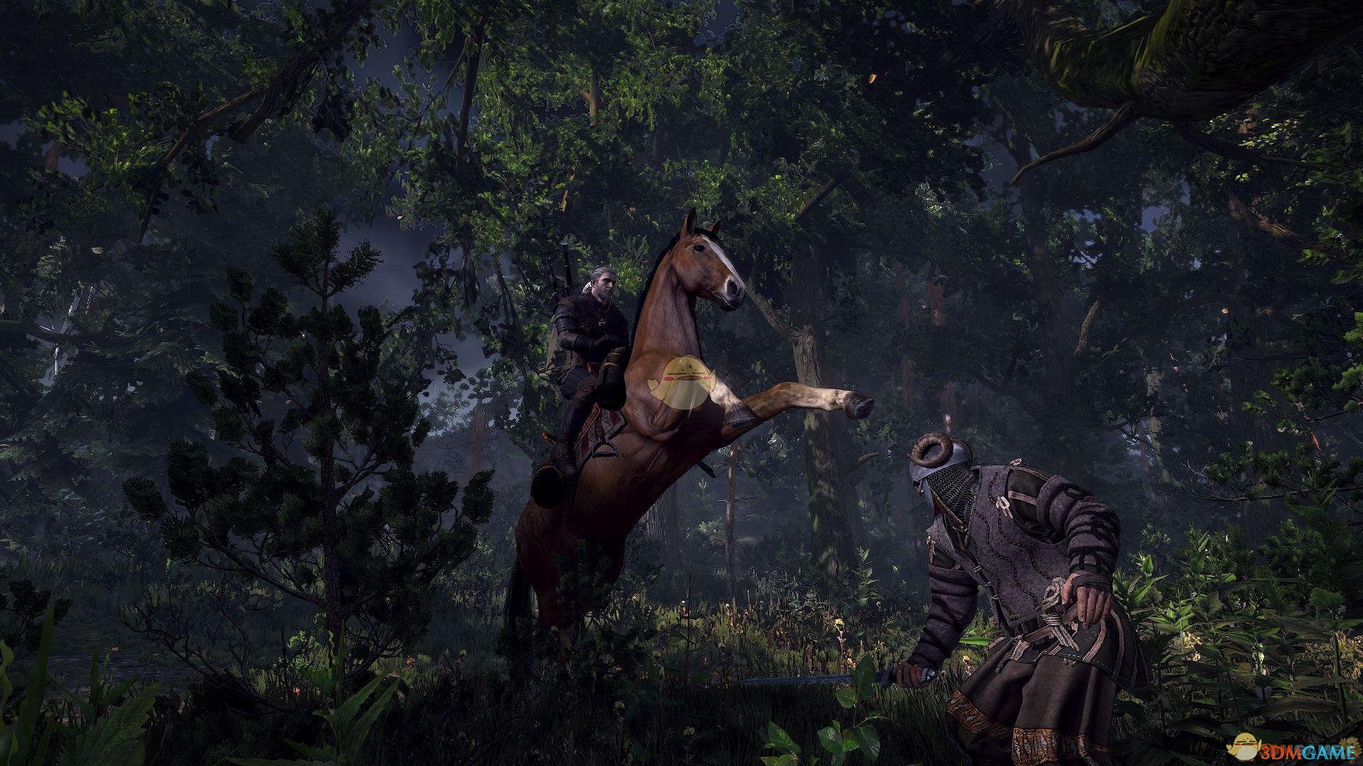 巫师3巫师3湖女剑层数怎么叠_湖女之剑升级技巧分享