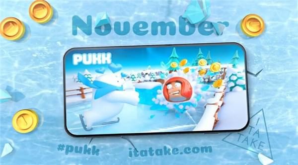 Pukk