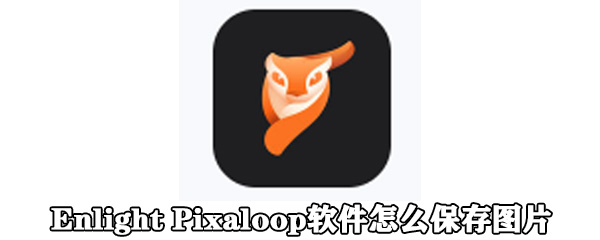 Enlight Pixaloop软件图片如何保存？_Enlight Pixaloop保存图片方法一览