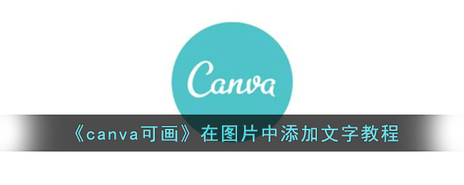 《canva可画》在图片中添加文字教程
