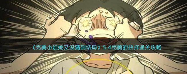 完美小姐她又没猜到结局完美的抉择怎么过