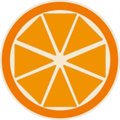 橙子百科