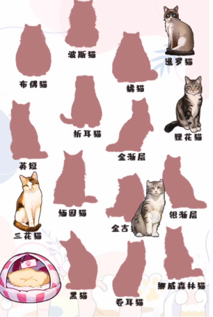 文字真相哈基米如何过关