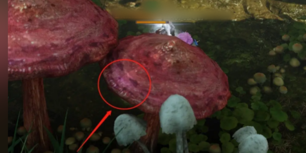 命运方舟巨型蘑菇岛摩可可位置