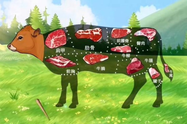 动动大脑瓜鲜嫩小牛答案是什么