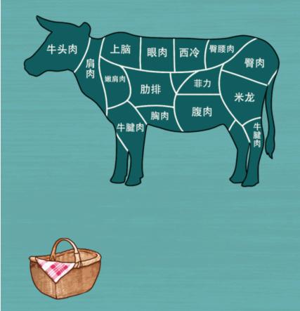 抖音文字来找茬牛牛将牛肉放到正确位置答案是什么