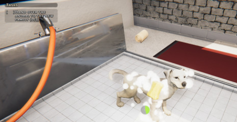 动物庇护所升级档+未加密补丁1