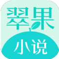 翠果小说纯净版官方app正版