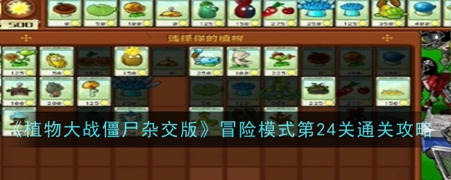植物大战僵尸杂交版冒险模式第24关怎么过