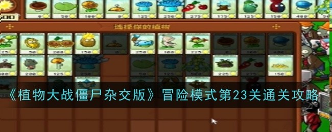 植物大战僵尸杂交版冒险模式第23关怎么过关