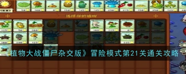 植物大战僵尸杂交版冒险模式第21关怎么过