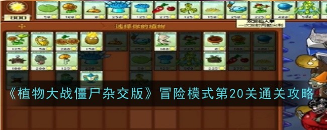 植物大战僵尸杂交版冒险模式第20关怎么玩