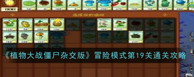 植物大战僵尸杂交版冒险模式第19关如何过关