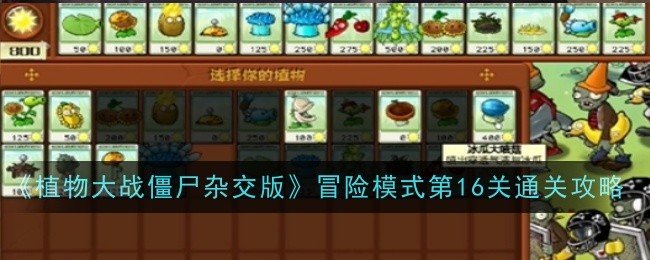 植物大战僵尸杂交版冒险模式第16关怎么玩