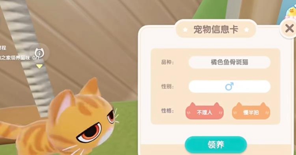 心动小镇猫在哪领取