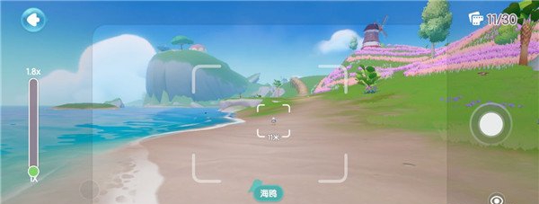 心动小镇有什么鸟